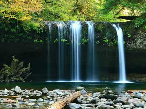 Su Sesi Eşliğinde Büyüleyici Arp Müziği | Sakin ve Huzurlu Müzik Terapisi | #relax #yoga #uyku