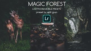 Magic Forest Mobile Lightroom Presets | Moody Forest Preset Free Download DNG in Lightroom screenshot 1
