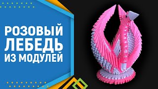 Лебедь в розовом | Как сделать оригами лебедя. Модульное оригами лебедь, Лебедь в розовом | Как сделать оригами лебедя. Модульное оригами лебедь,
