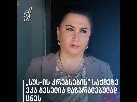 სუს-ის კრებსების საქმეზე ეკა ბესელია დაზარალებულად ცნეს