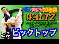 【社交ダンス】ビックトップ WALTZ 圭太と美奈子の知恵袋