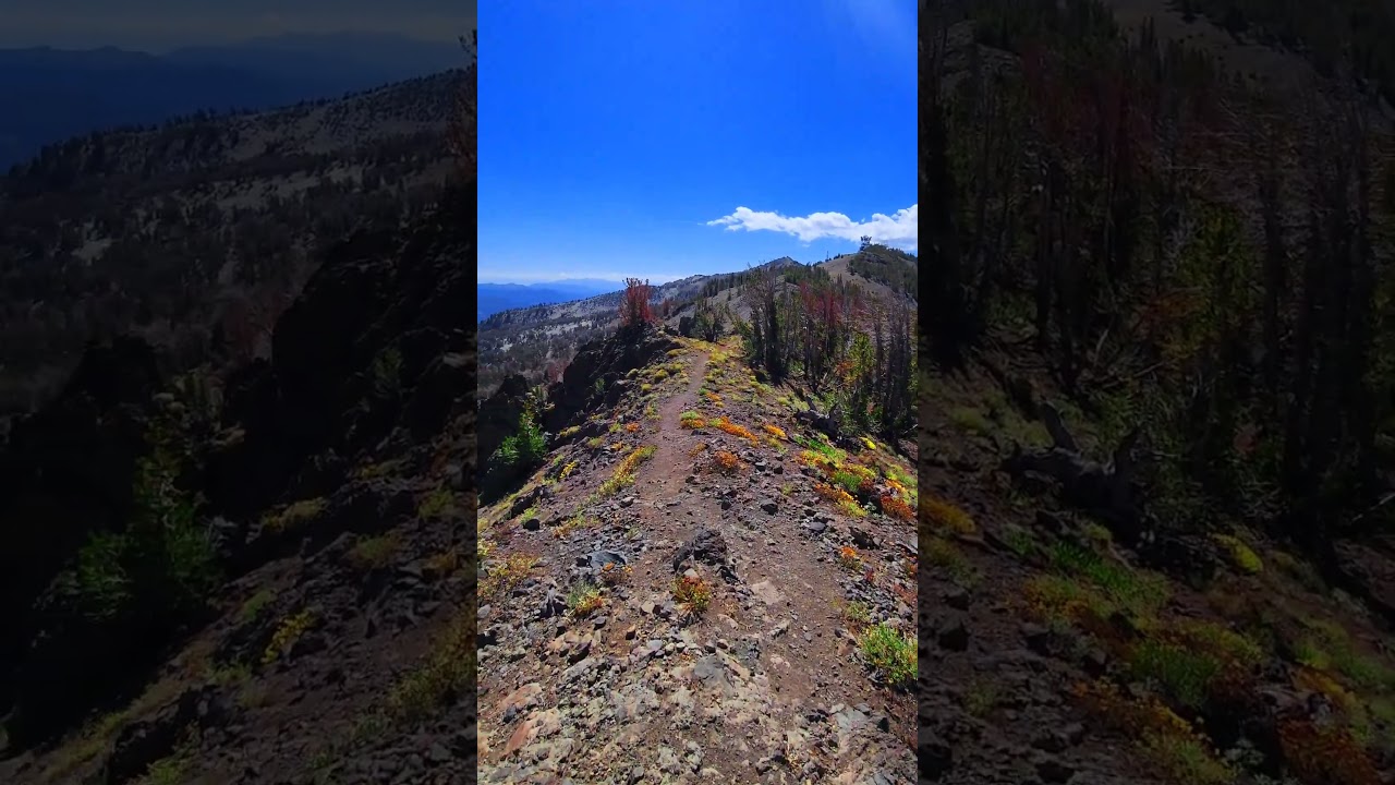 Windy hike on MOUNTAIN RIDGE in the SIERRA NEVADA ⛰️ 