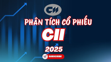 Phân tích cổ phiếu CII|Cơ hội đầu tư hạ tầng dài hạn tại TP.HCM?| Cập nhật tài chính & định giá 2025