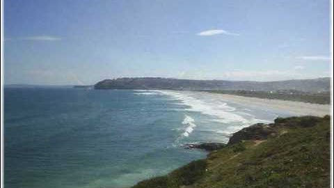 آيات السكينة بصوت الشيخ الغامدي وتعليق ابن القيم عليها