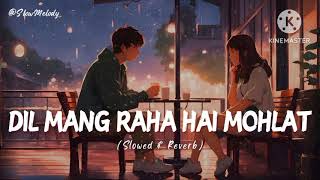 ✓Dil mang raha hai [slowed reverb song] dil mang raha hai [slowed lofi songHindi]✓