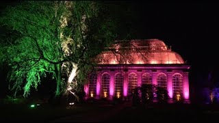 FIRST LOOK: Christmas At The Botanics 2017 highlights at Royal Botanic Garden Edinburgh