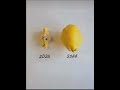 2025 İle 2026 Arasındaki Tek Fark #20252026