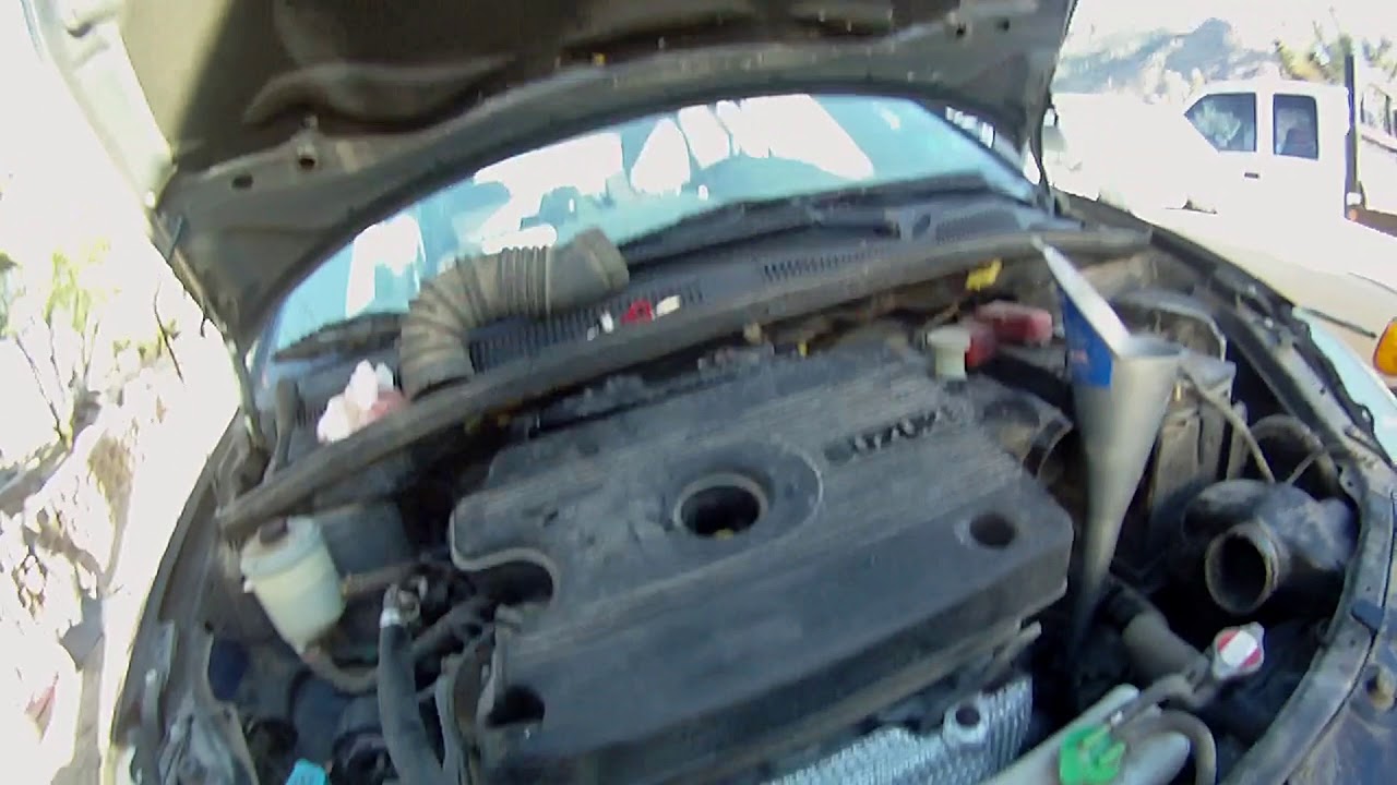 Trans suzuki porno