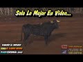 Video de Tixpehual