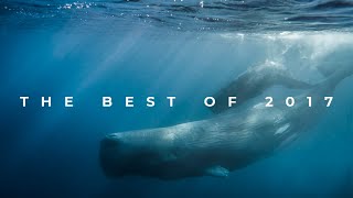 The Best Moments of 2017 - Azores Adventures Futurismo