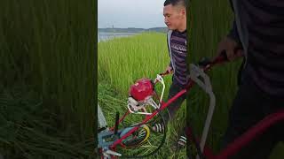 #Farmers'Helper #Lawmower #Weeder #GrazingMachine