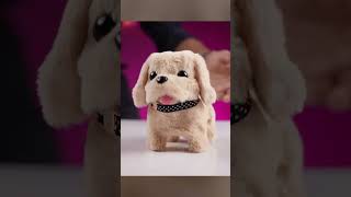 ₹500 vs ₹5000 Robot Dog!