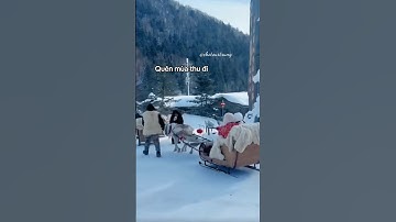 Ngôi làng cổ tích ở Cáp Nhĩ Tân 🦌 [ Làng Tuyết Hương ] - CHỢ TOUR TRUNG