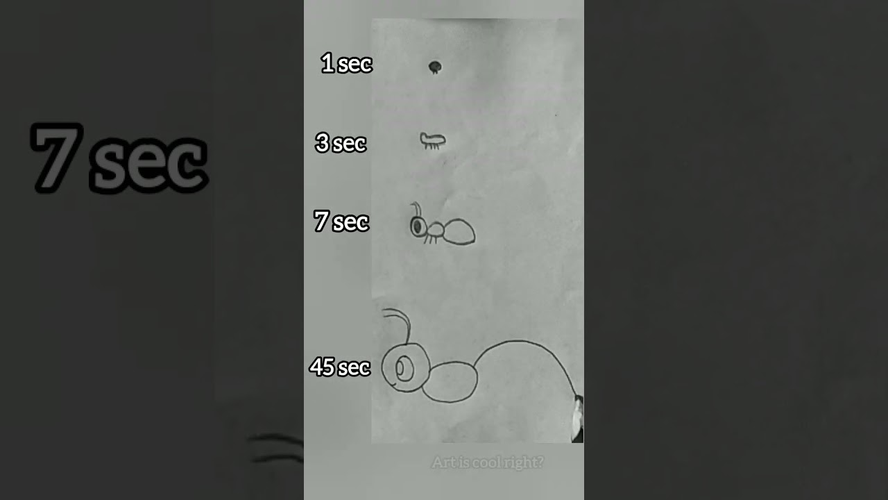 Drawing ant in different seconds 