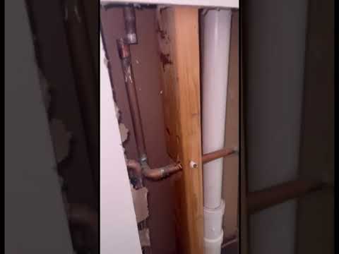 #licensedplumber #plumbingrepair #plumbingproblems #plumbingsolutions #localplumber