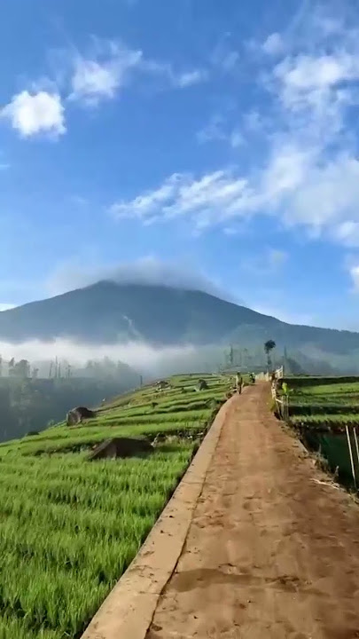 Pemandangan Siang Hari Di Pegunungan