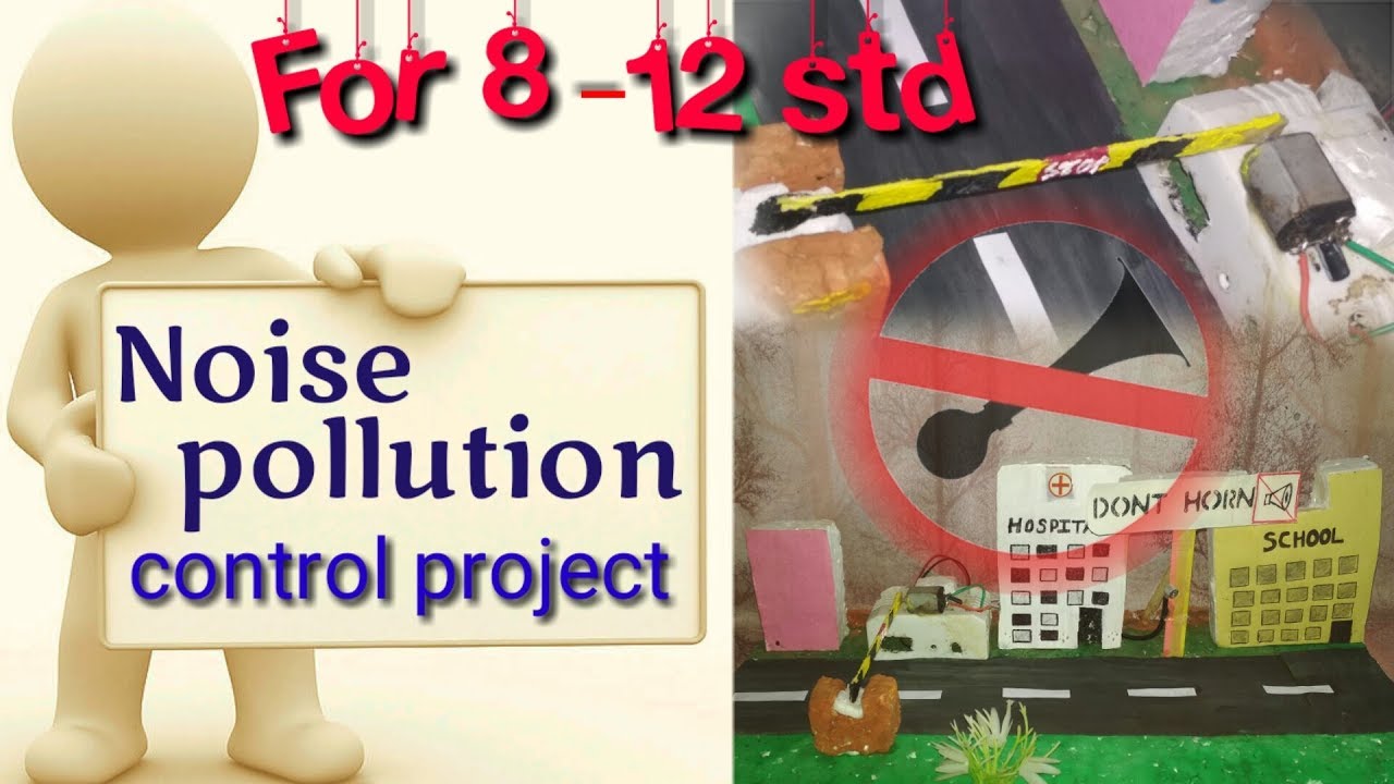 noise pollution project for school