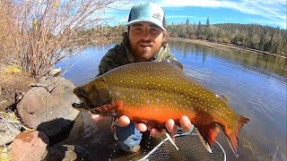 Chasing GIANT Brook Trout w/ the Fly Rod!!