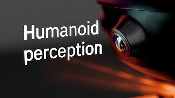 Multimodal Perception System for Humanoid Robots