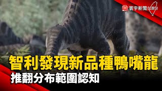 【財經晚報】智利發現新品種鴨嘴龍 推翻分布範圍認知- 薛宇珊 2023.06.19