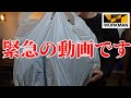 【ワークマン】緊急の動画です。「2022秋冬」セール購入品レビュー！！
