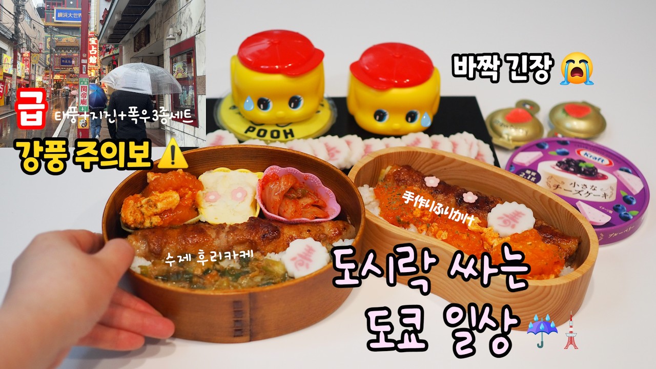 언제 어떤 자연재해가 일어날지 모르는 불안한 일본생활😭#요코하마 태풍에 날라갈뻔 한 일상🌀도시락싸고🍱강풍 주의보 속 나들이⚠️#트릭아트뮤지엄#술취한새우#먹방#한정템#장보기#이케아