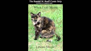 The Randall M. Rueff Comic Strip # 10,415 - 10,434