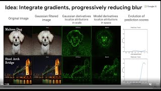 Attribution in Scale and Space (BlurIG) - CVPR 2020