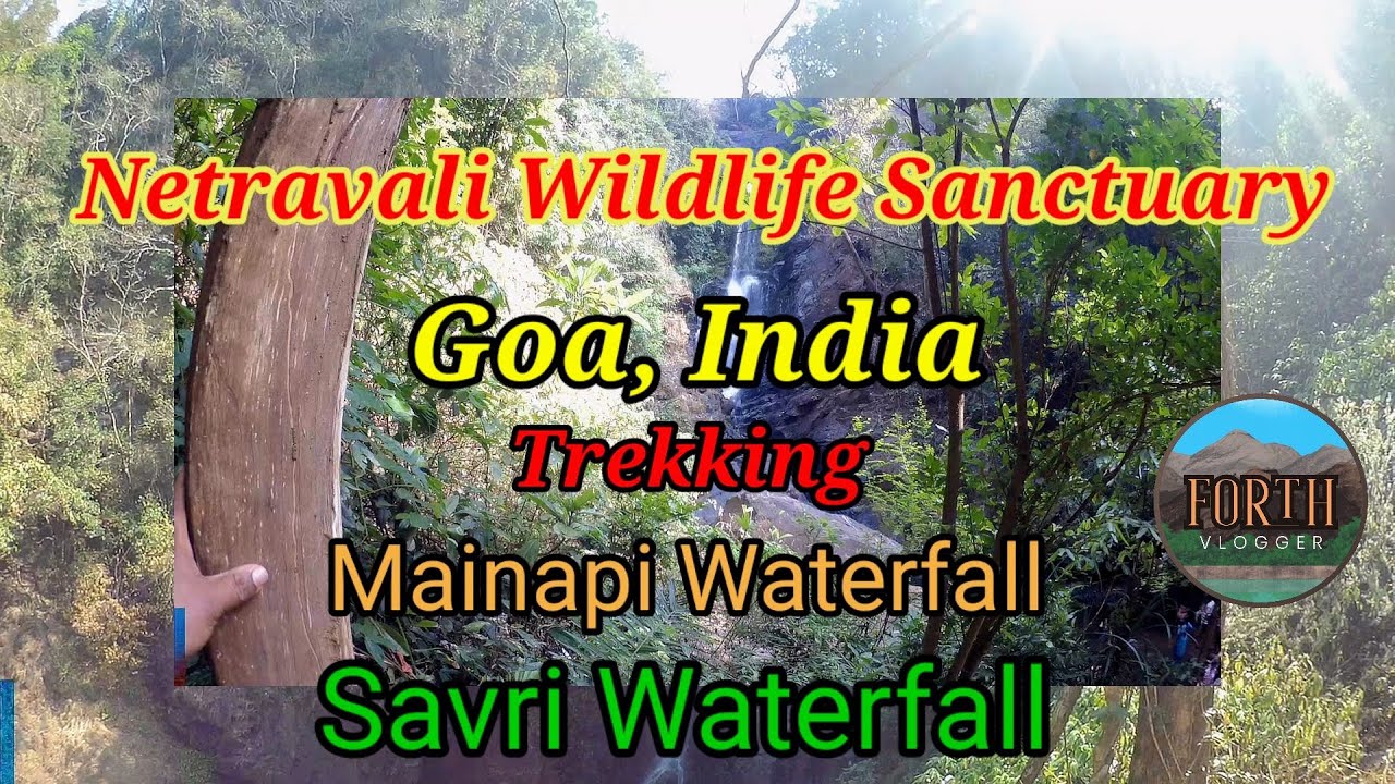 NETRAVALI  WILDLIFE SANCTUARY, GOA, INDIA . MAINAPI WATERFALL & SAVRI WATERFALL. . @forthvlogger