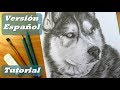Cómo dibujar un perro | Cómo dibujar pelo de animal | Lápices de grafito