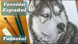Cómo Dibujar Un Perro Cómo Dibujar Pelo De Animal Lápices De Grafito