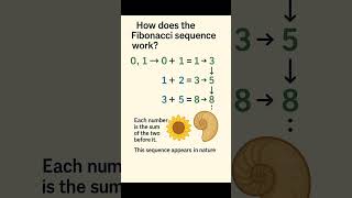 How the Fibonacci Sequence Shapes Nature | Simple Math, Big Mystery #maths #shorts