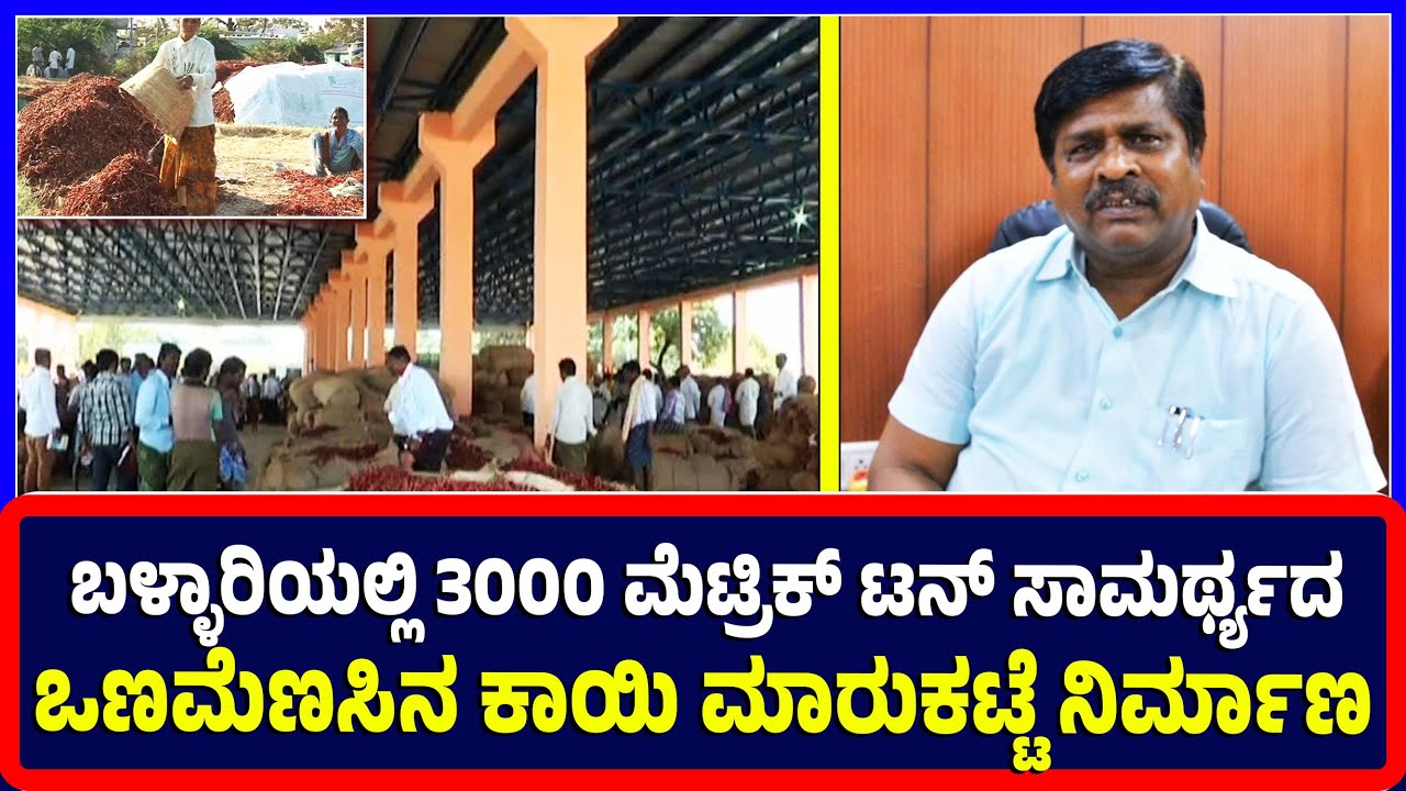 Ballari :ಬಳ್ಳಾರಿಯಲ್ಲಿ 3000 ಮೆಟ್ರಿಕ್‌ ಟನ್‌ ಸಾಮರ್ಥ್ಯದ ಒಣಮೆಣಸಿನ ಕಾಯಿ ...