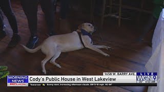 Weekend Brea: Puppy Bowl viewing party