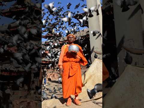 Buddhism: China's New Soft Power Front
