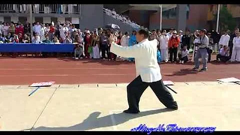 Yang Shi Taijiquan 85 Shi (back) - Master Zhao You...