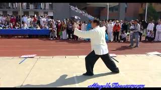 Yang Shi Taijiquan 85 Shi (back) - Master Zhao Youbin (赵幼斌)