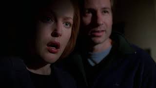 Mulder & Scully 