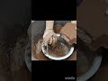 #satisfy#crunchycrumbles #oddlysatisfying ing