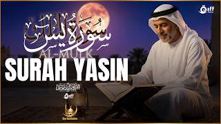 Surah Ya-Sin Full | Hope, resurrection, and mercy | Heart-Touching Quranic Peace | Before sleep