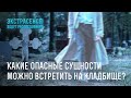 Какие опасные сущности можно встретить на кладбище? – Экстрасенсы ведут расследование