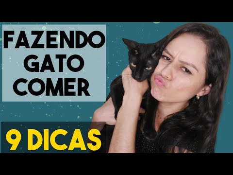 Vídeo: Epilepsia e convulsões em animais de estimação