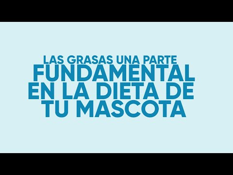 Video: Datos Sobre La Grasa En La Dieta De Su Mascota