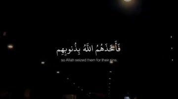استمع بعض آيات القرآن الكريم