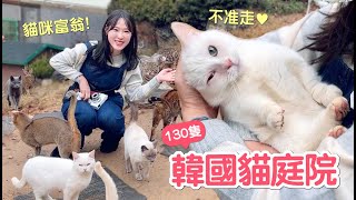 到韓國當貓咪富翁！130隻回歸大自然的貓庭院太震撼了고양이정원｜傲嬌爸的養貓日常