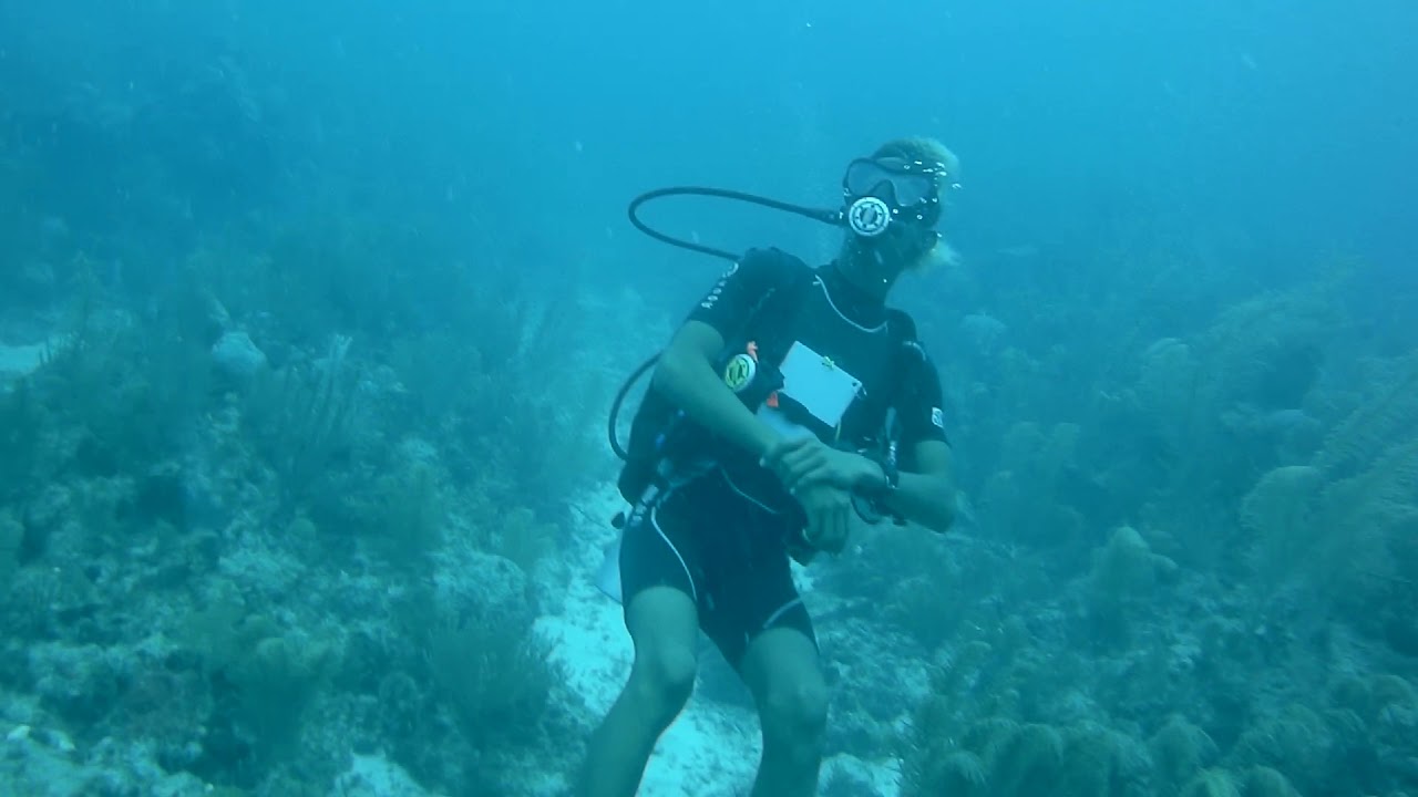 Ambergris Caye Diving Belize 2019 YouTube