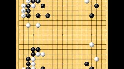 기원3급, 타이젬 7단 "판 전체를 넓게 보는 법"