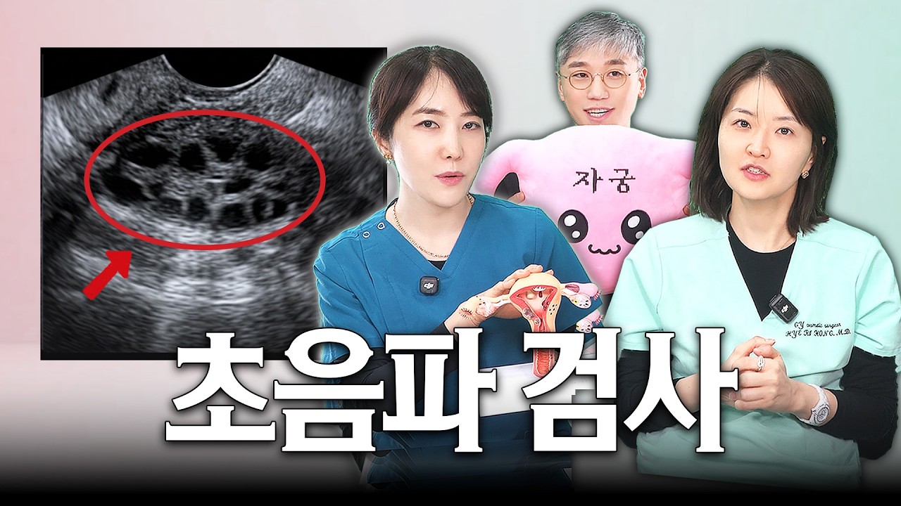 왜 하고 뭘 보는 걸까?
