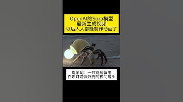 OpenAI的Sora模型最新生成视频，以后人人都能制作动画了 #ai#人工智能#AIGC#视频生成#OpenAI#ChatGPT#Sora  ©AI毒师