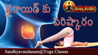 Yoga for Thyroid Effective Asanas to Regulate Thyroid Hormone Imbalance థైరాయిడ్ తగ్గించే ఆసనాలు